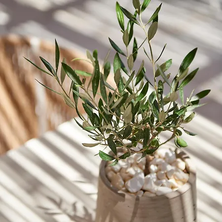 Summer Senses Luxury 5* Λογαράς