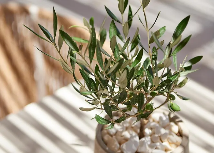 Summer Senses Luxury 5* Λογαράς